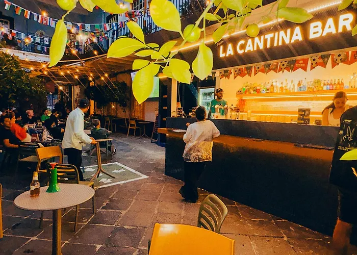 Viajero Cdmx Centro México DF